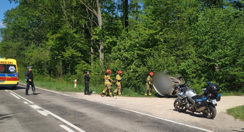 Region: Sarna narobiła zamieszania. Trzy auta uszkodzone [foto]
