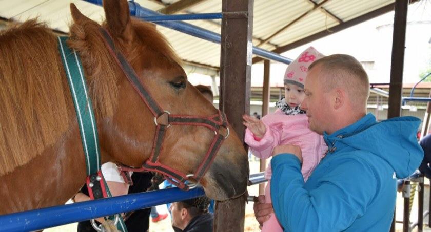 W Szepietowie nagrodzono najpiękniejsze konie sokólskie [foto]