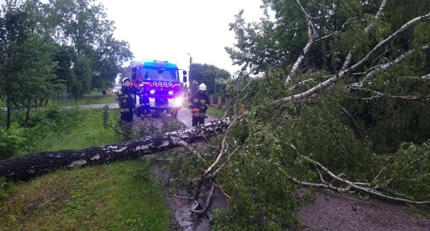 Wietrzny wtorek w regionie. Awarie prądu także w powiecie wysokomazowieckim [foto]