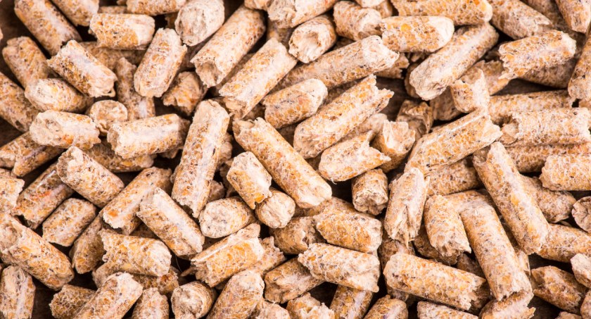 Chciała kupić pellet w atrakcyjnej cenie, została oszukana