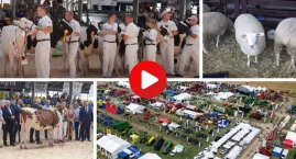 Tak wyglądała jubileuszowa XXX Wystawa Zwierząt Hodowlanych w Szepietowie [VIDEO]