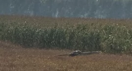  Dwunaste znalezisko w kraju. Szczątki drona ok. 50 …