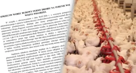 Cztery kurniki na 270 tys. kurczaków pod Szepietowem? Mieszkańcy protestują