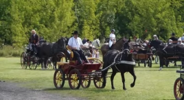 Zbliżają się V Amatorskie Zawody w Powożeniu Zaprzęg&hellip;
