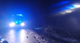Wichura w powiecie wysokomazowieckim. Strażacy interweniowali kilkanaście razy [FOTO]