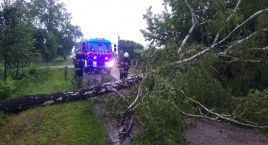 Wietrzny wtorek w regionie. Awarie prądu także w powiecie wysokomazowieckim [foto]