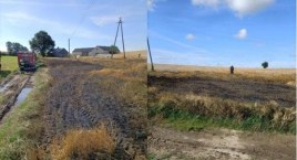 Kobylin-Borzymy: Pożar zboża na pniu [foto]