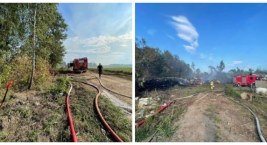 Było o krok od pożaru lasu. Z ogniem walczyło 14 zastępów straży pożarnej [FOTO]