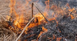 Ciechanowiec: Pożar bel na polu 
