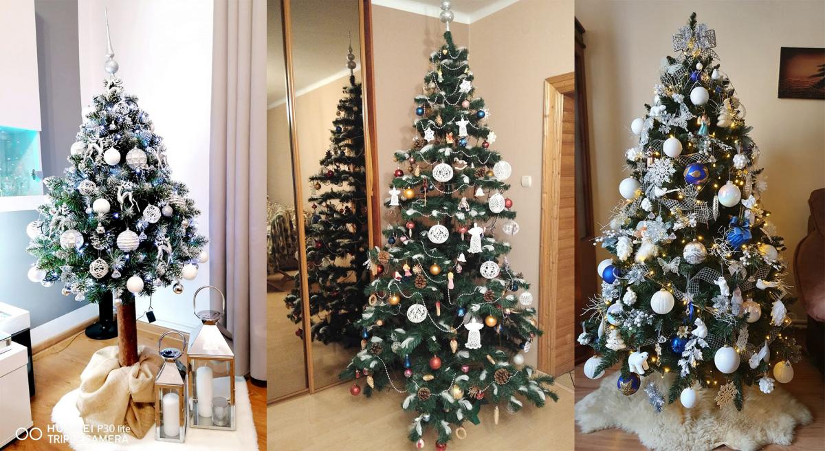 Galeria choinek mysłowiczan część II