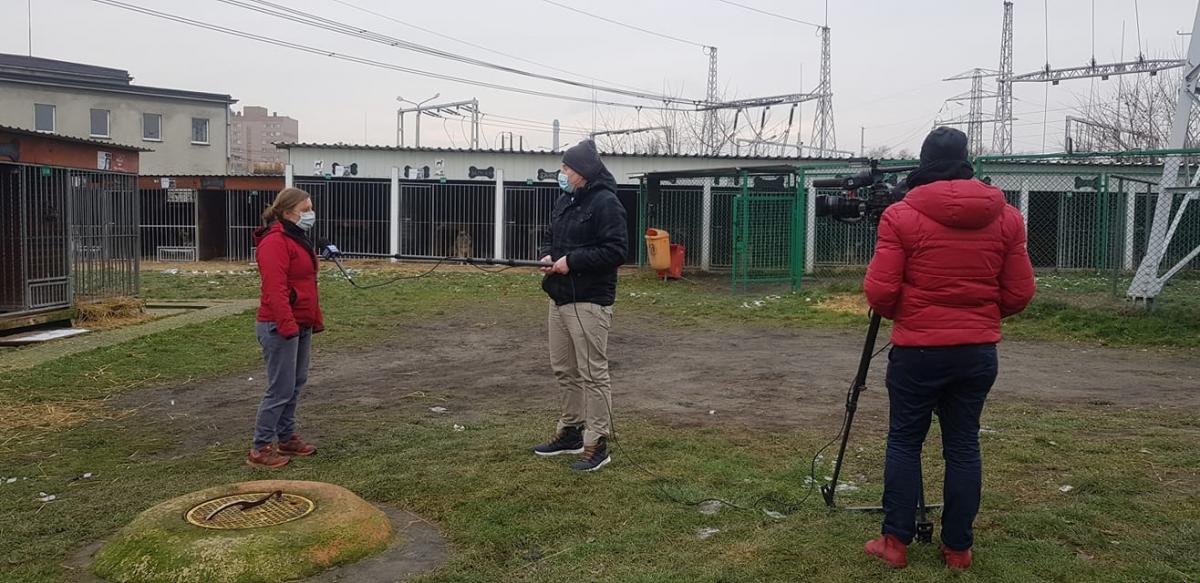 Mysłowickie schronisko dziś w aktualnościach TVP