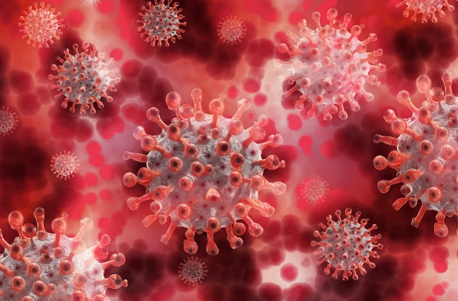 Aktualna sytuacja epidemiologiczna w Mysłowicach - 26 listopada