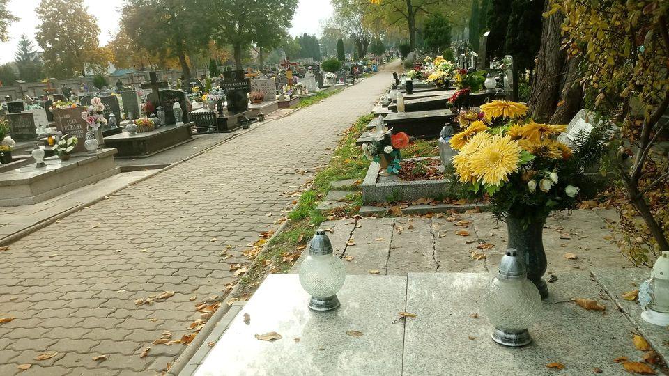 Zamiast wizyty na cmentarzu wirtualny znicz