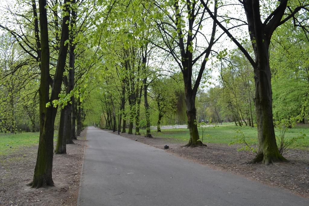 Rozstrzygnięcie przetargu na remont Parku Zamkowego znów przesunięte