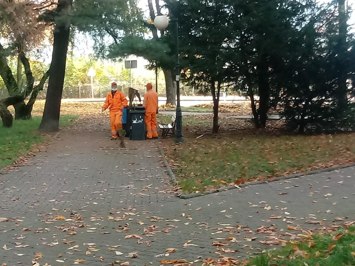 Jesienne porządki w pełni