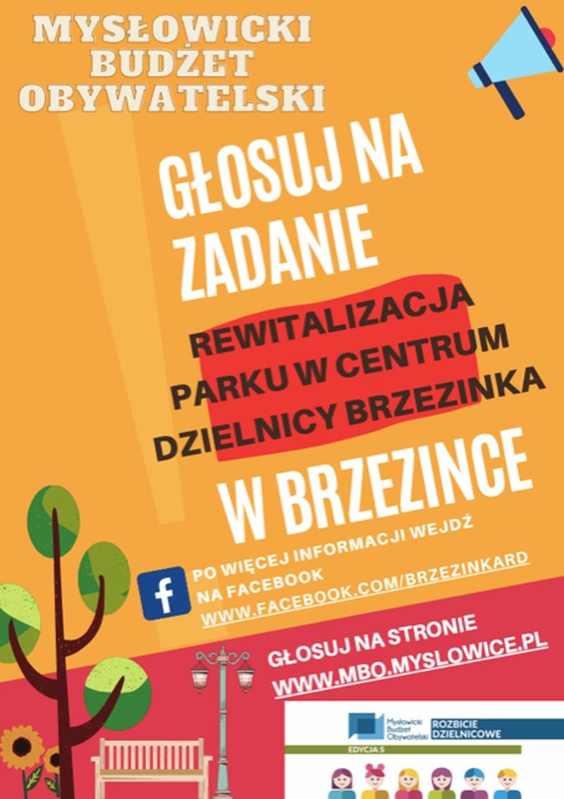 MBO. Brzezinka walczy o 122 tys. zł i rewitalizację parku