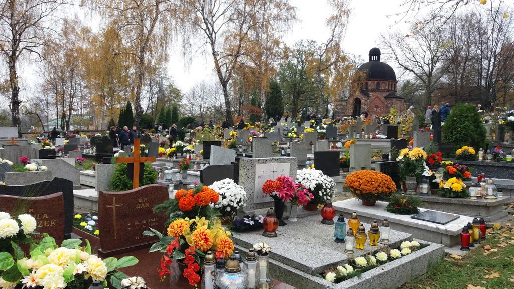 Są obawy o zamknięcie cmentarzy 1 listopada. Wiceminister zdrowia komentuje