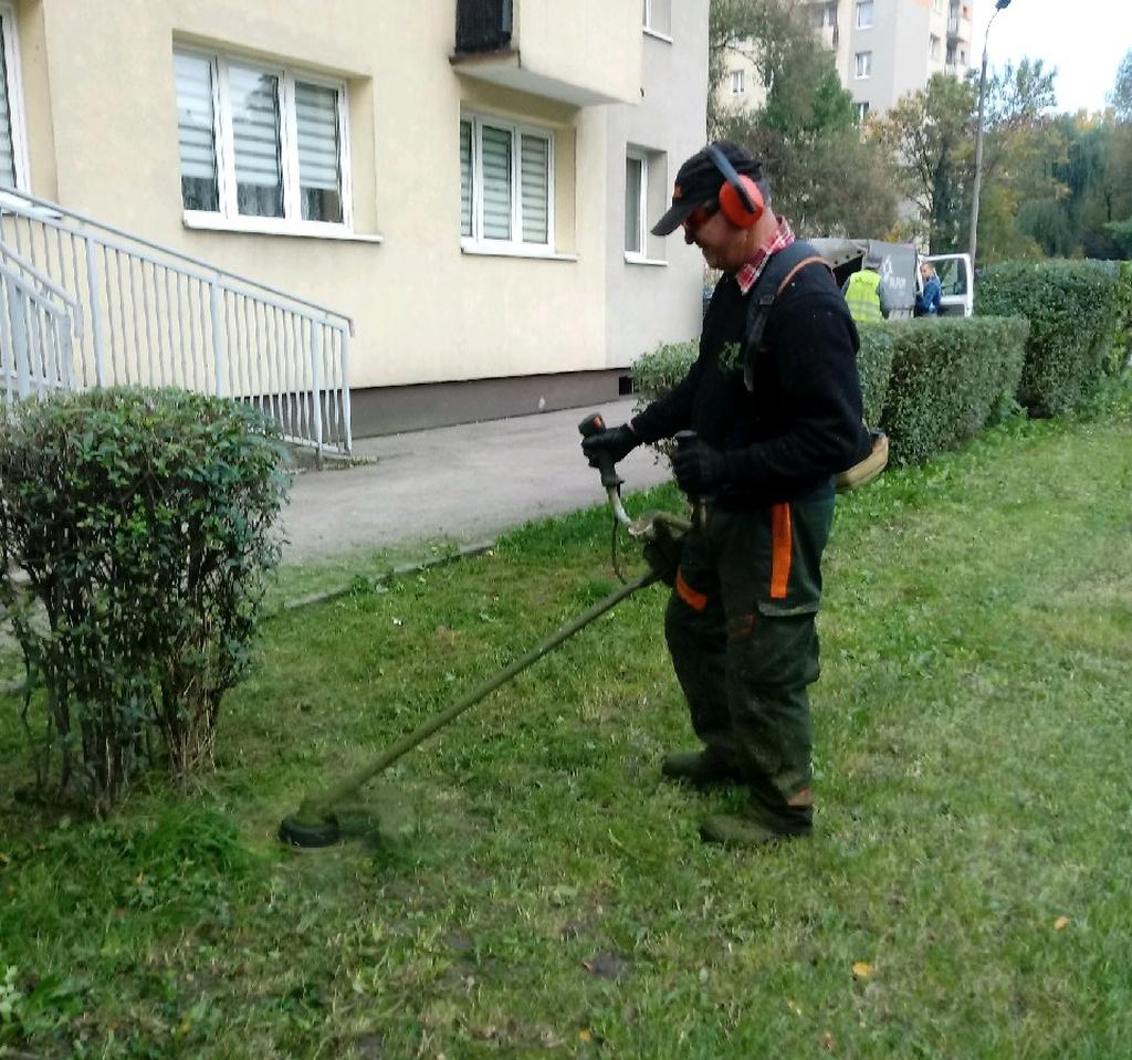 Ostatnie koszenie przed zimą