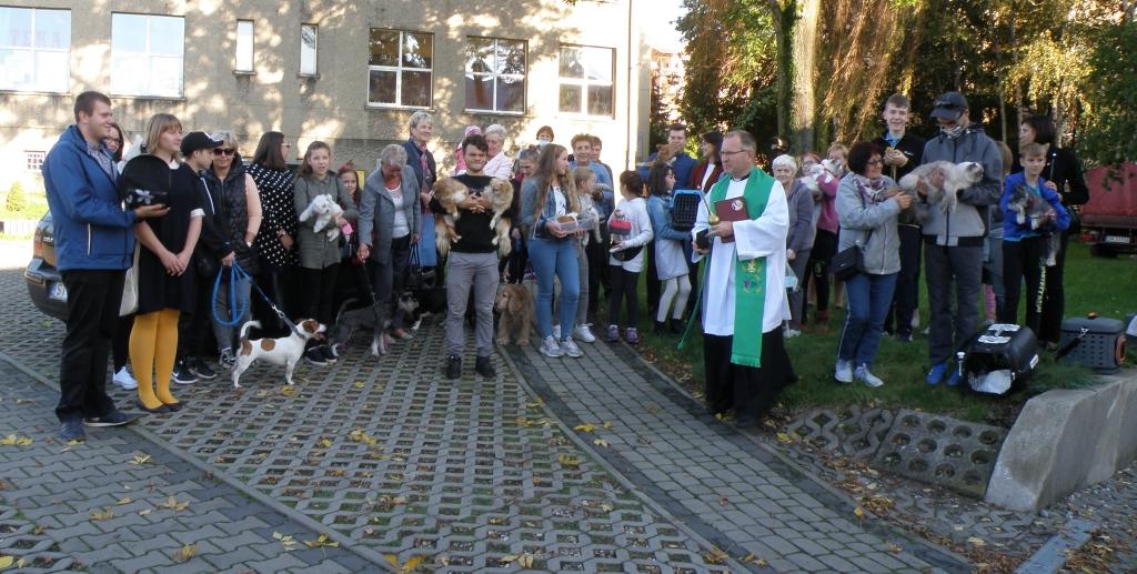 Błogosławieństwo zwierząt w brzęczkowickiej parafii