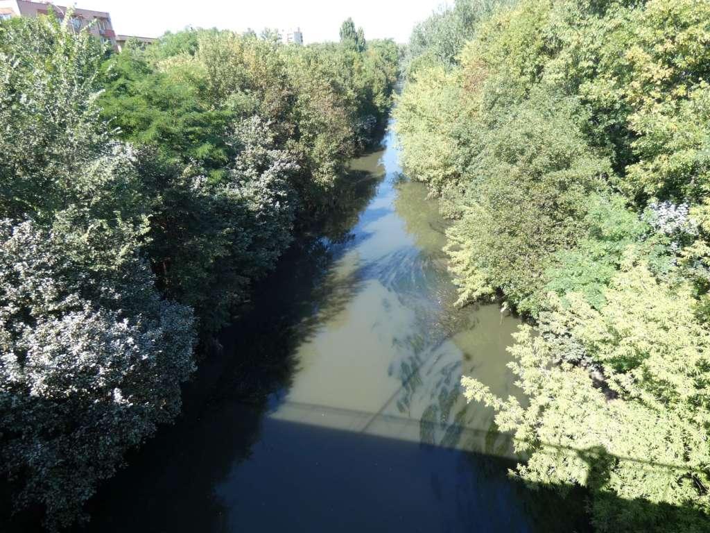 Niezbyt czarna - Czarna Przemsza