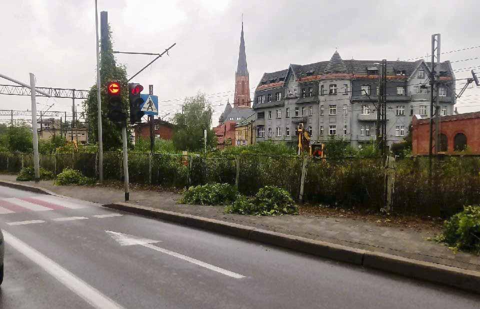 Znów ścinają krzewy przy Oświęcimskiej. Mieszkańcom się to nie podoba