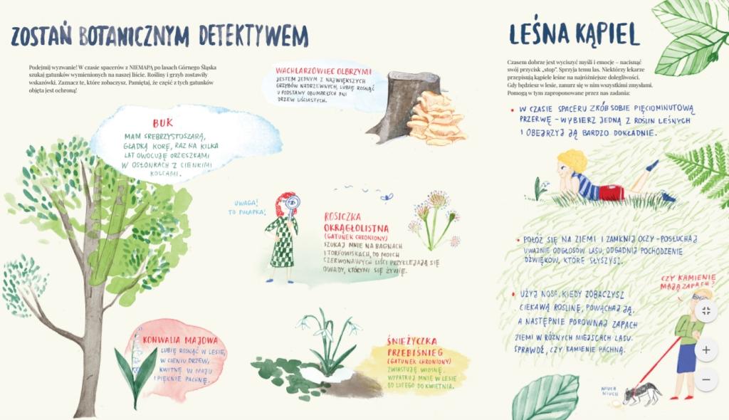 Z Niemapą na wycieczkę do lasu