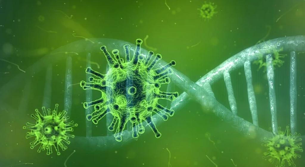 Aktualna sytuacja epidemiologiczna w Mysłowicach – 5 sierpnia