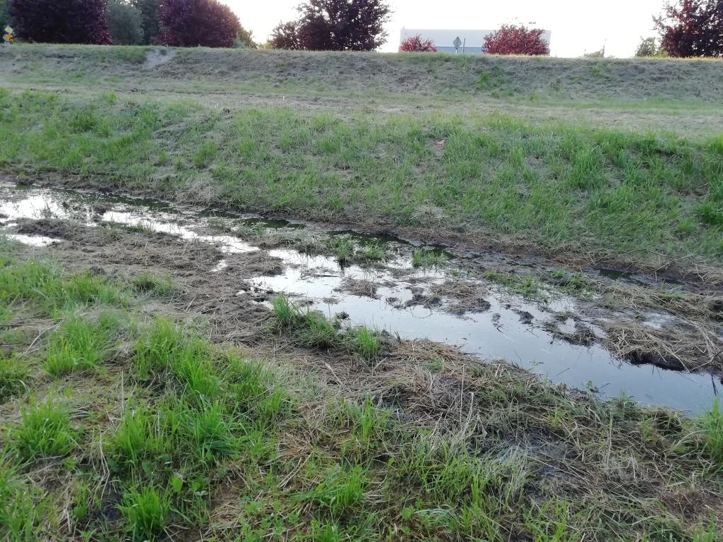 Mysłowice stawiają na produkcję gnojówki? List czytelniczki