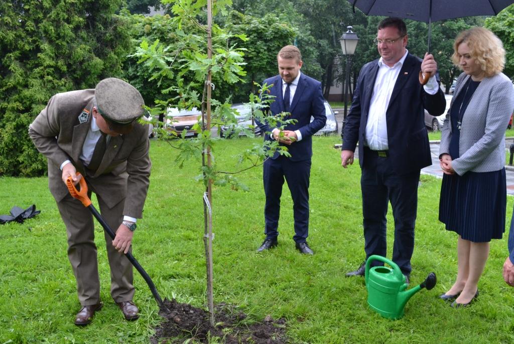 Wiceministrowie posadzili w Mysłowicach dąb