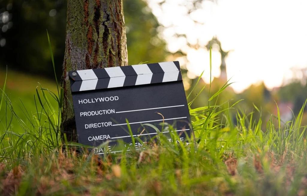 Kino na leżakach w Ławkach