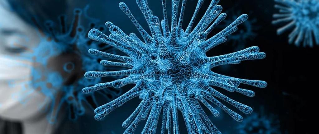 Aktualna sytuacja epidemiologiczna w Mysłowicach – 2 czerwca