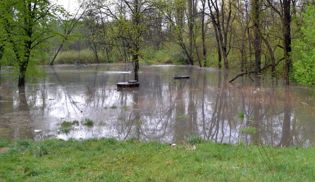 Mysłowice po ulewie. Zalane ulice, piwnice i garaże