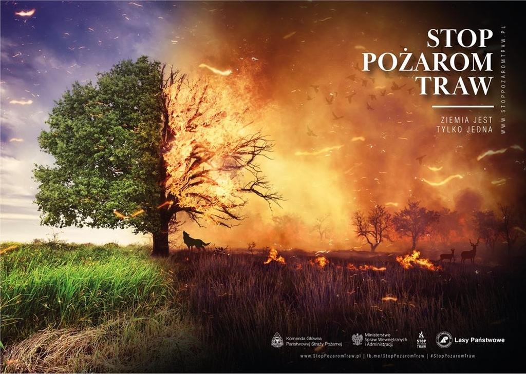 Mimo zakazu wypalają trawy