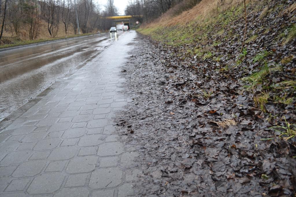 Czy na Dworcowej ktoś sprząta?