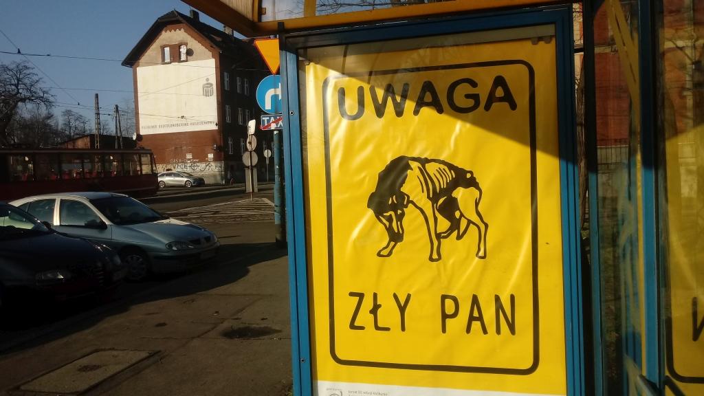 Zwierzę też człowiek