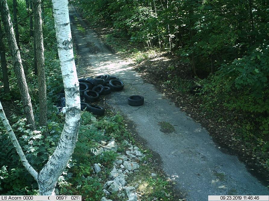 Wyrzucili do lasu opony. Nagrała ich fotopułapka