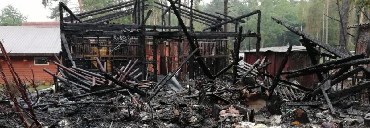 Spłonęła stajnia w Wesołej. Trwa zbiórka na jej odbudowę