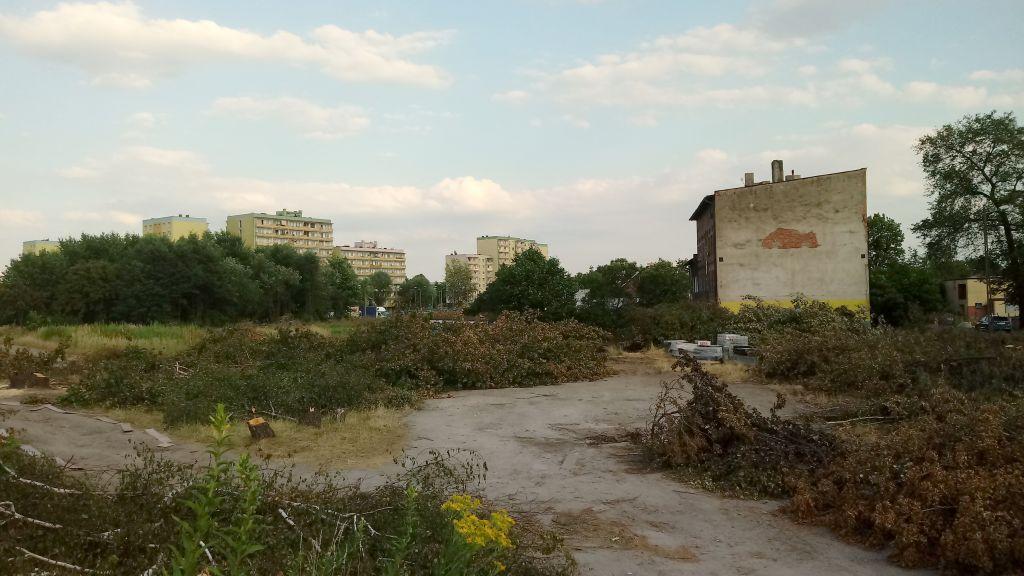 Co powstanie w Brzęczkowicach? Na razie wycięto drzewa