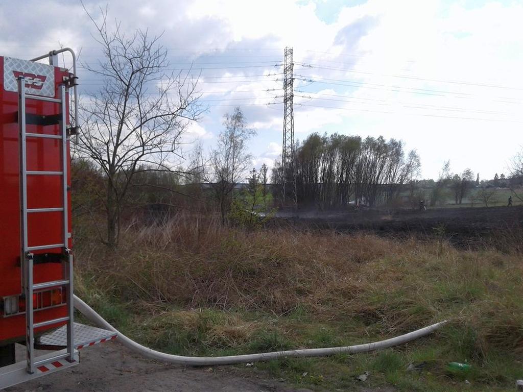 Już ponad 70 pożarów traw w tym roku
