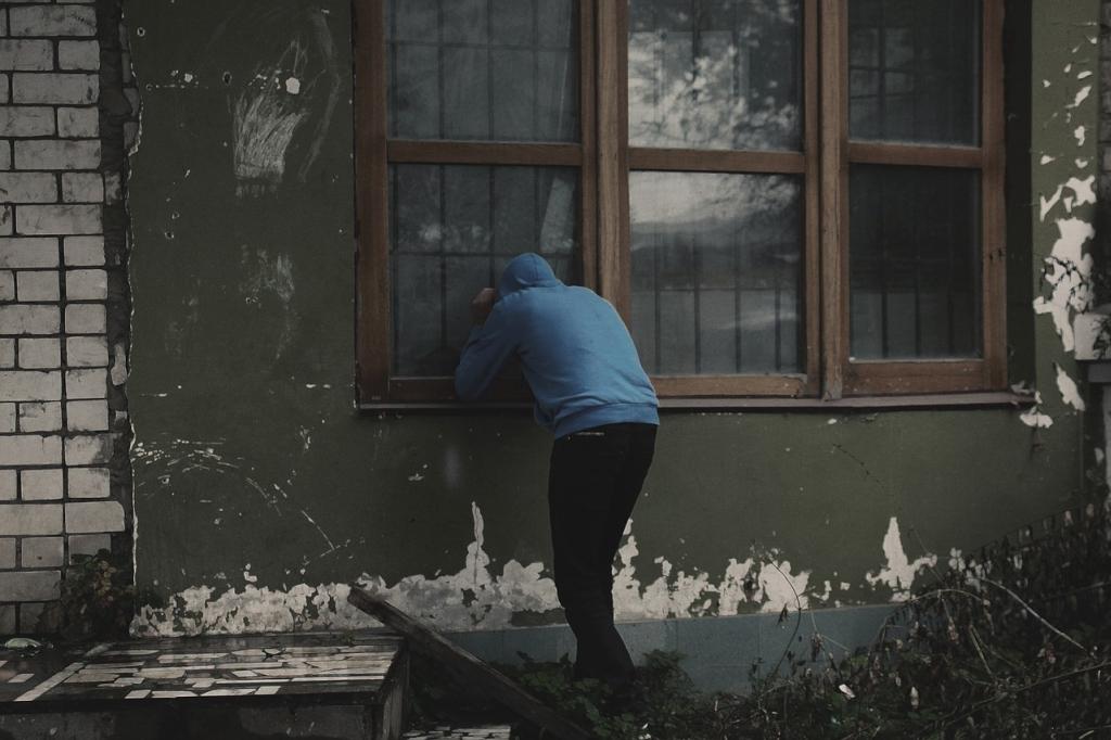 Rozbili szajkę włamywaczy