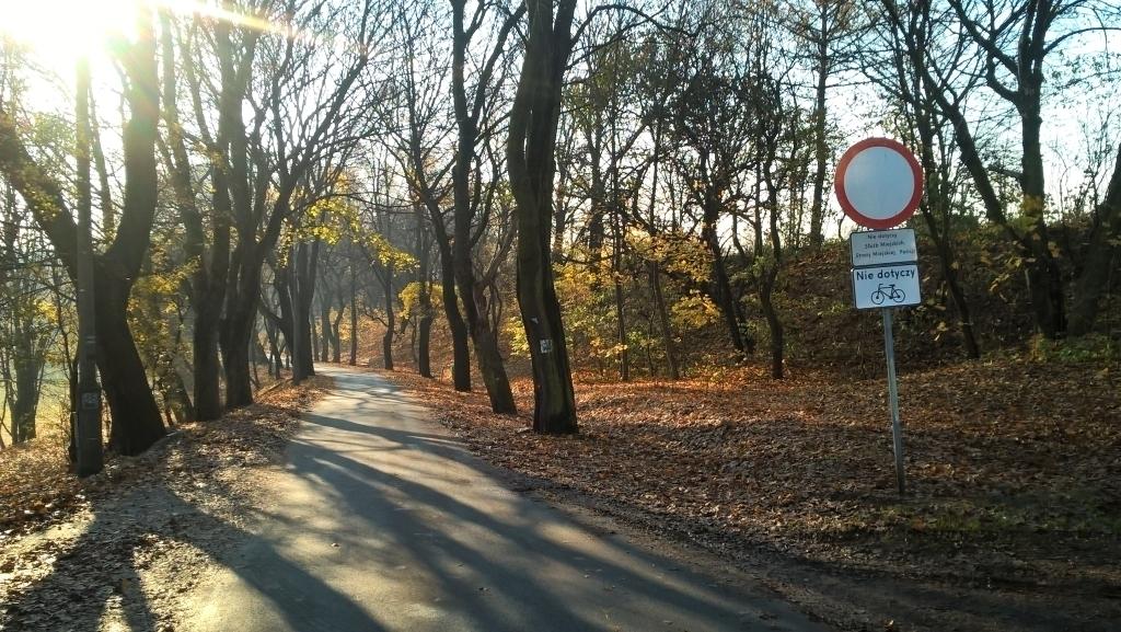 9 firm zainteresowanych przebudową Promenady