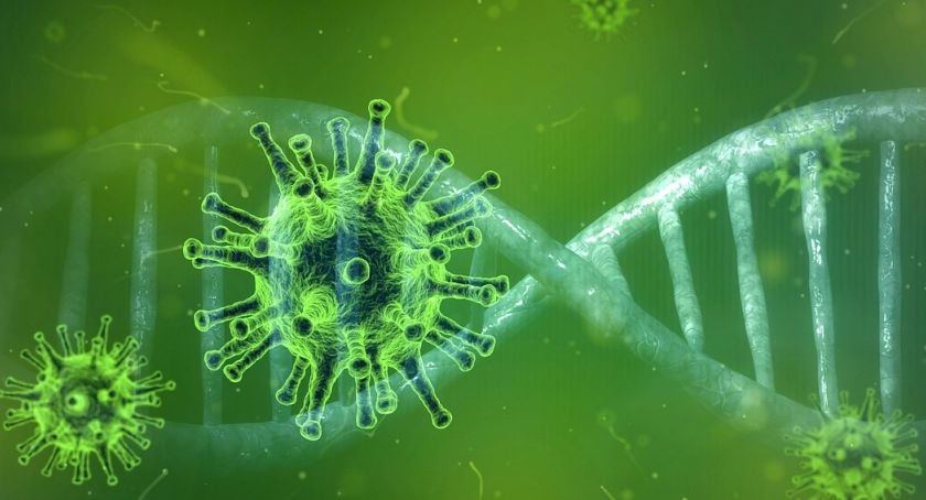 Aktualna sytuacja epidemiologiczna w Mysłowicach – 29 stycznia