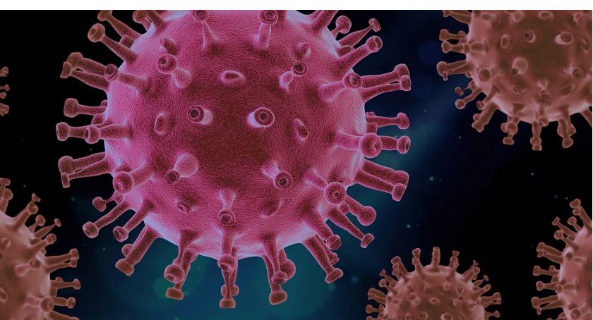Aktualna sytuacja epidemiologiczna w Mysłowicach – 7 lutego