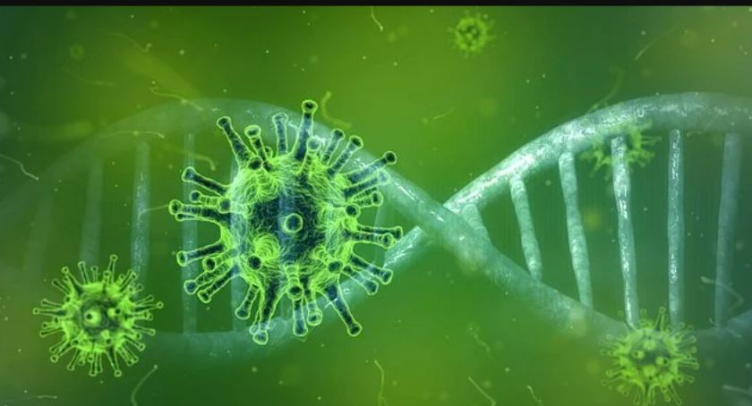 Aktualna sytuacja epidemiologiczna w Mysłowicach – 21 lutego