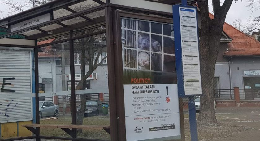 Antyfutrzarska kampania także w Mysłowicach
