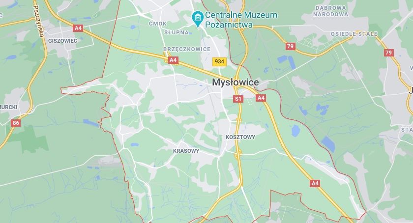 Cyrkuły zamiast dzielnic. Jest petycja w tej sprawie