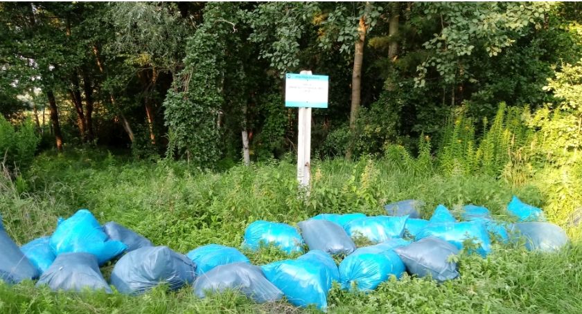 Będą sprzątać las w Kosztowach. Można dołączyć