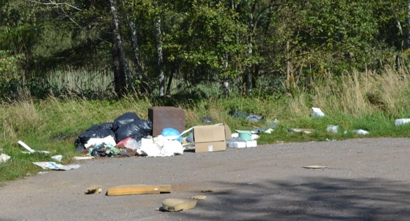 Kolejna pożyteczna akcja – wiosenne porządki w lesie