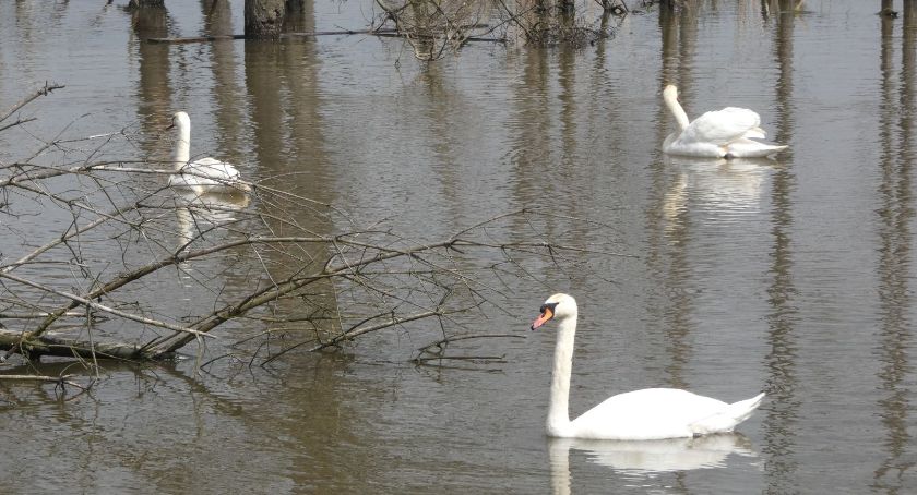 Przyroda wokół nas. Kolejne obrazki z wyprawy