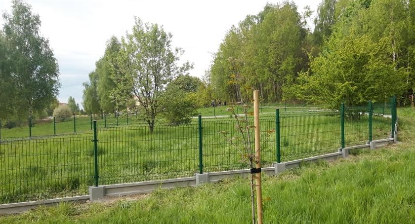 W Brzęczkowicach powstaje psi park